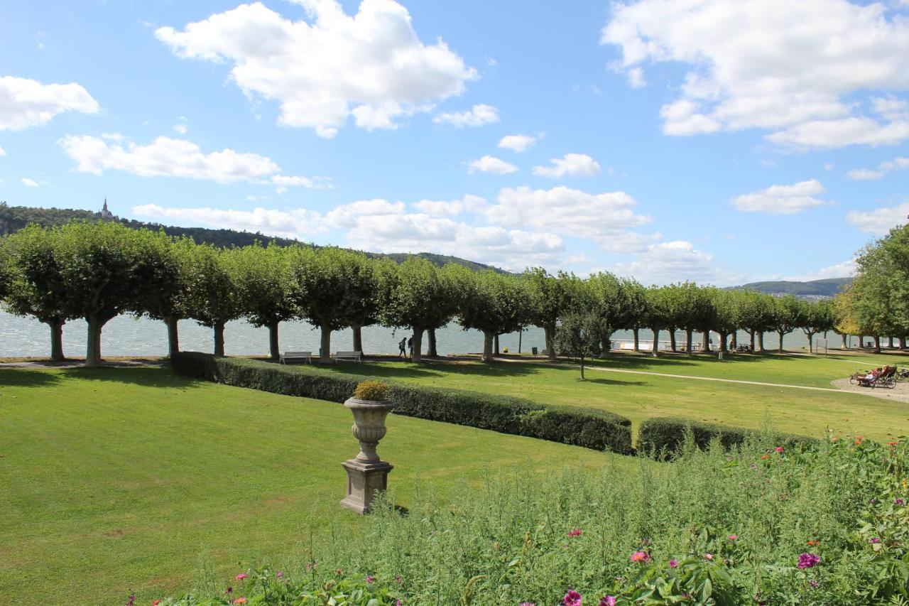 Appartamento Dreimaedelhof Rüdesheim am Rhein Esterno foto
